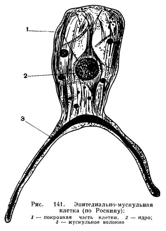 Kra26.at