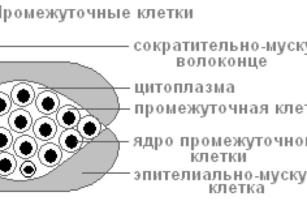 Кракен тор krakendark krakendark link