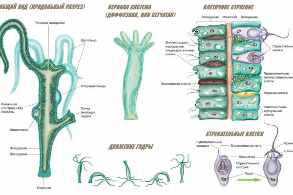 Kraken clear ссылка