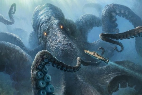 Kraken kraken link24 info