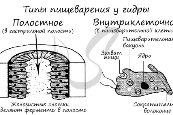 Как зарегаться на кракене