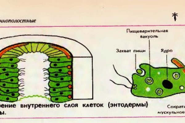 Кракен интернет