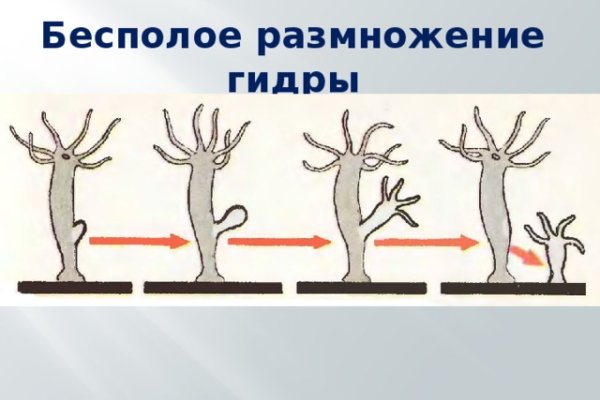Официальный сайт даркнет