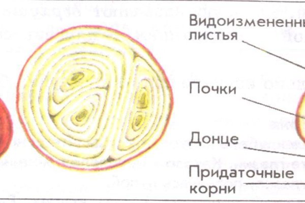 Кракен через браузер