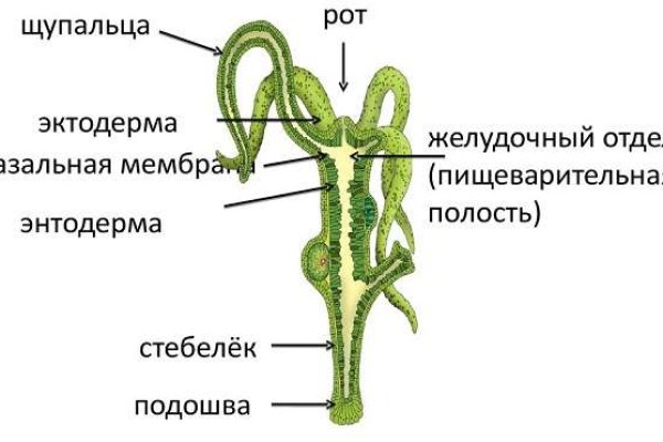 Кракен не работает сайт