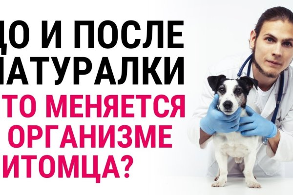Кракен даркнет ссылка