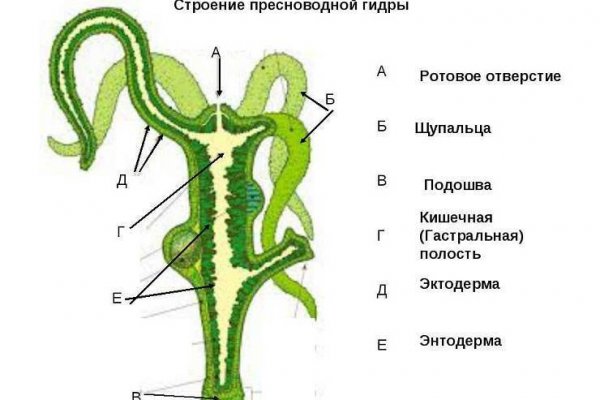 Ссылка на кракен на сегодня