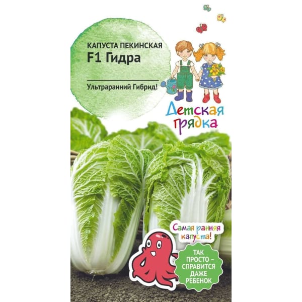 Кракен ссылка pw